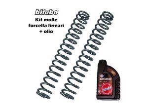 KAWASAKI NINJA 400 / KRT EDITION 2018-2021 BITUBO FORK SPRINGS