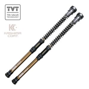 DUCATI Scrambler (15-17) NTR TVT  Pro 25mm Cartridge Kit