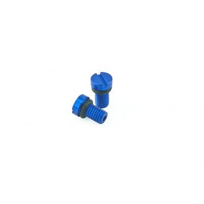 Front Fork Air Bleed Screw (KYB/Showa) Blue - Pair